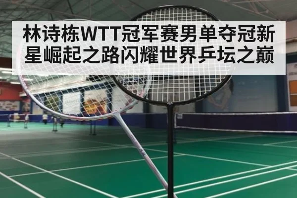 林诗栋WTT冠军赛男单夺冠新星崛起之路闪耀世界乒坛之巅