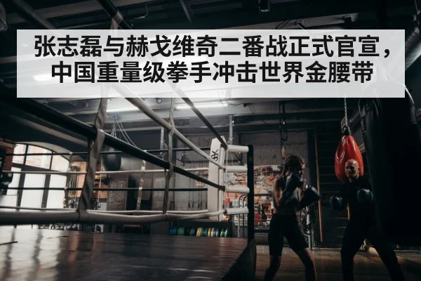 张志磊与赫戈维奇二番战正式官宣，中国重量级拳手冲击世界金腰带